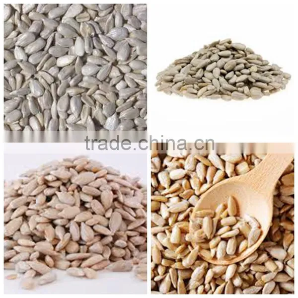 High Quality Sunflower Kernels Chinese Organic Sunflower Kernels photo-4