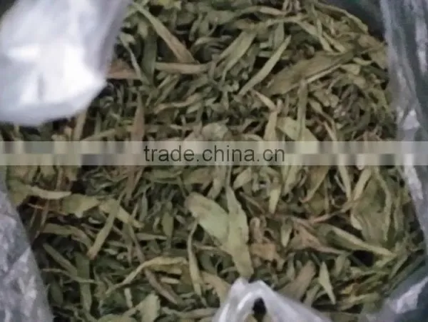 Stevia Extract Pure Powder photo-3