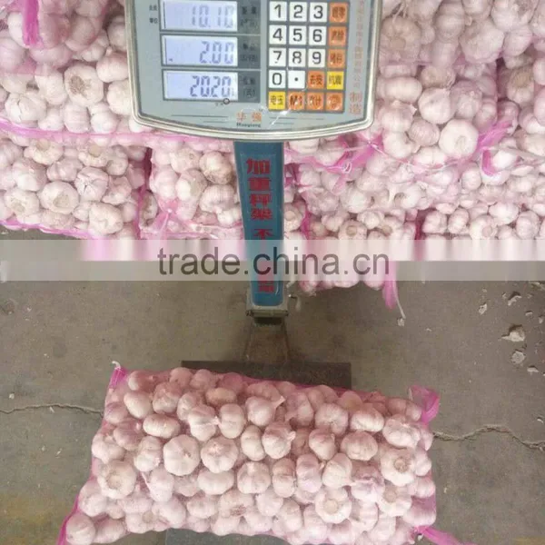 2016 New Crop Factory Supplier Normal White And Pure White Garlic for Indonesia, Malaysia, Thailand From China Factory