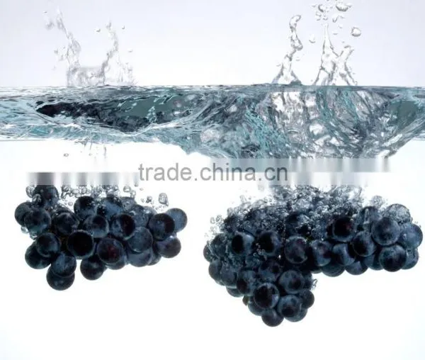 Refined Grape Seed Oil photo-3