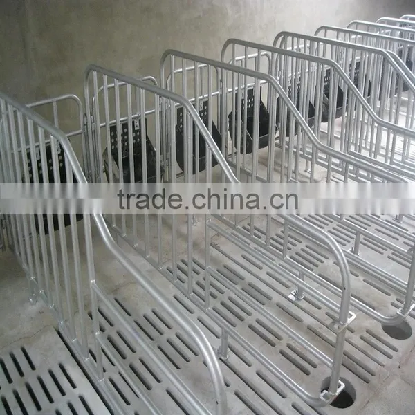 Hot Sales Sow Stall Gestation Crates Pigs