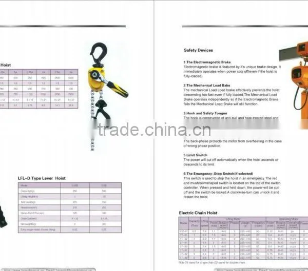 Electric or Manual Chain Hoist