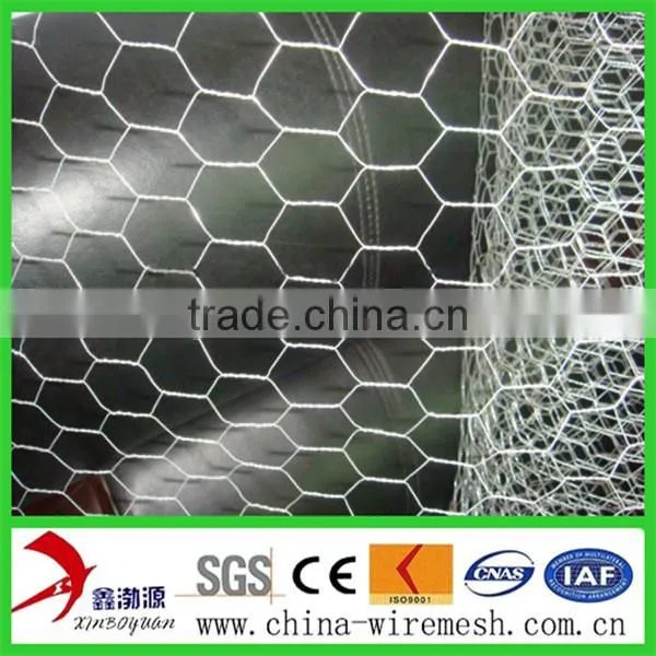 Hexagonal Wire Mesh/chicken Wire Mesh for Cultivation photo-2