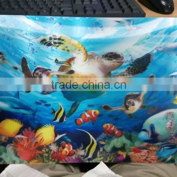 3d Graphics Card