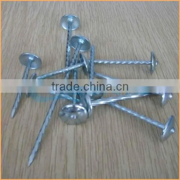 Top Quality Plastic Cap Roofing Nails Trusted Chuanghe Suppliers From Com photo-6
