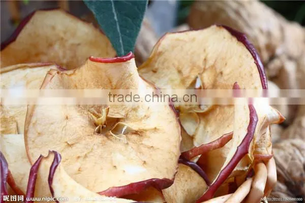 No Damage Apple Chips Dryer/apple Slices Drying Oven With Low Temperature photo-4