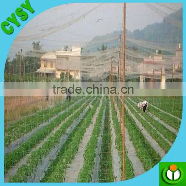 Mist Net Nylon Bird Capture Netting/structural Bird Netting/preminum Bird Netting photo-5