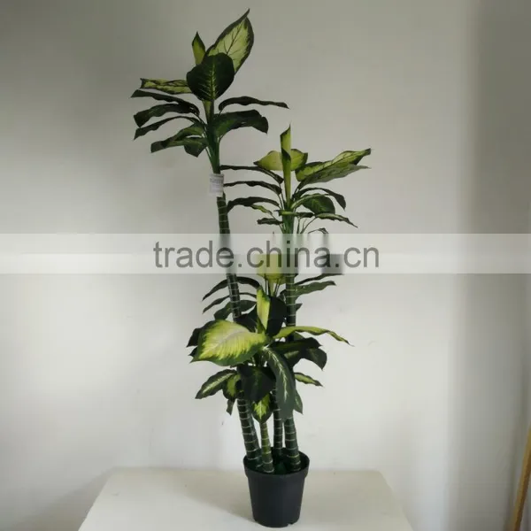Fake Decorative Dieffenbachia Rohdea Artificial Evergreen Wholesale photo-2