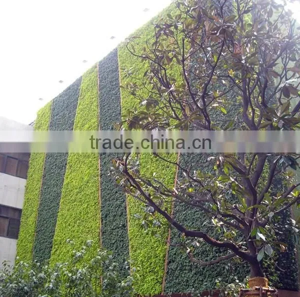 Vertical Garden System Decorative Green Wall Panels Hydroponic System Wall Planters photo-2