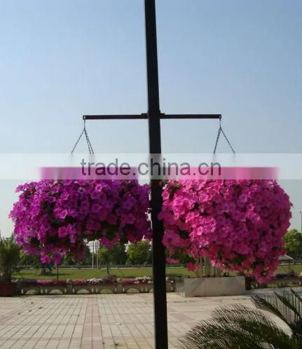 Self Watering Hanging Planters photo-2