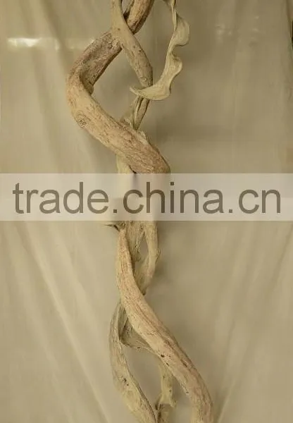 Liana Sculpture photo-3