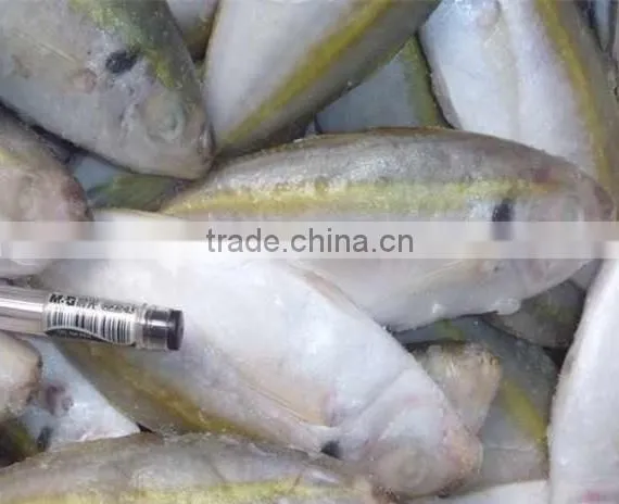 chinese wholesale distributors, frozen bonito fish bonito fish flakes