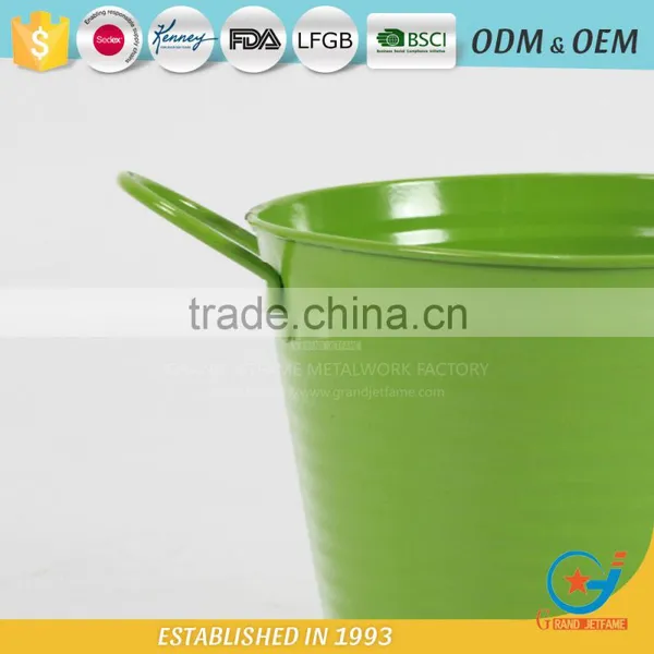 Iron and Zinc Unique Embossing Powder Coated Flowering Plants in Pots Decoration Garden Flower Pot photo-6