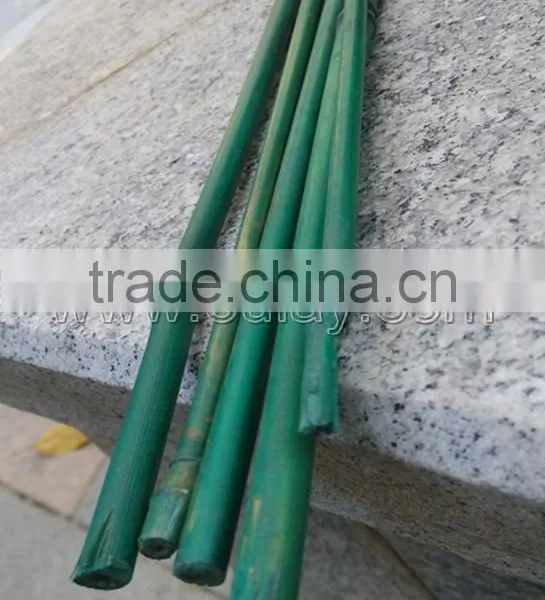 Plastic Coated Bamboo Canes photo-3