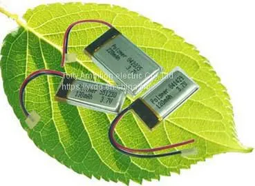 Rechargeable Batteries photo-4