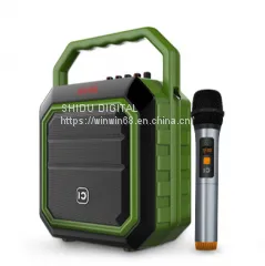 2018 New Arrival 30w Portable Party PA Speaker With FM Radio and Flashing DJ Lights