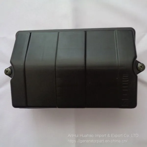 EF6600 Generator Air Filter Assembly