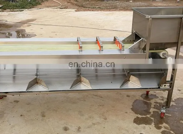 Automatic Sorter Citrus Fruits Vegetable Size Sorting Grading Machine for Dates Olive Apple photo-3