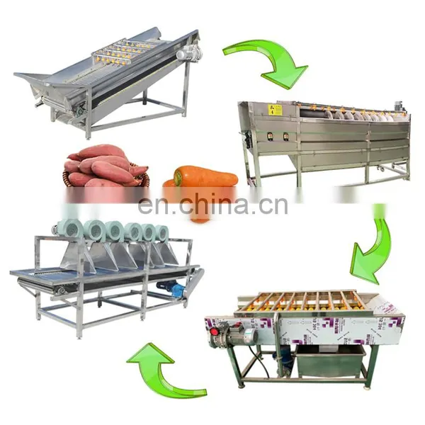 304 Stainless Steel Small Fruits and Vegetable Washing Sorting Machine photo-5