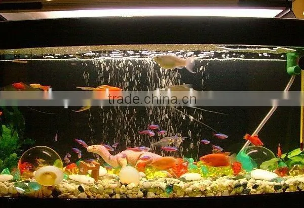 Hot Sell Acrylic Bullet Fish Tanks photo-4