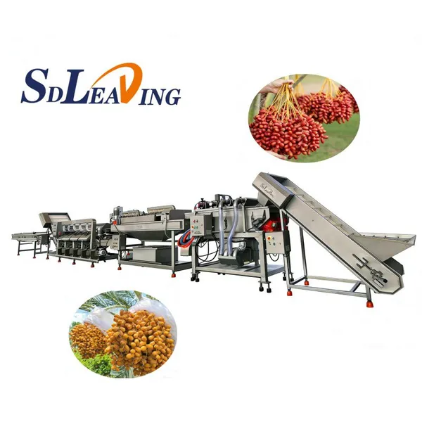 Automatic Industrial Palm Dates Processing Machine High Capacity Dates Washing Pitting Grading Drying Line for Dates Factory photo-2
