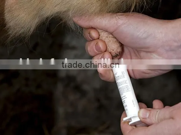 Dry Cow Therapy Syringe photo-3