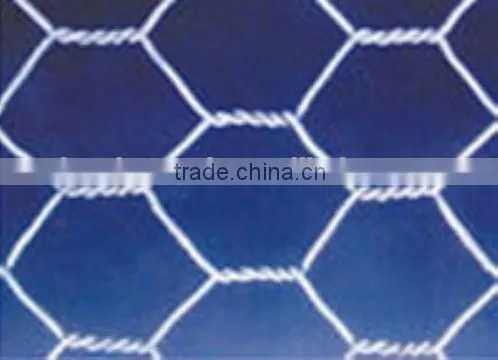 Galvanized hexagonal wire netting