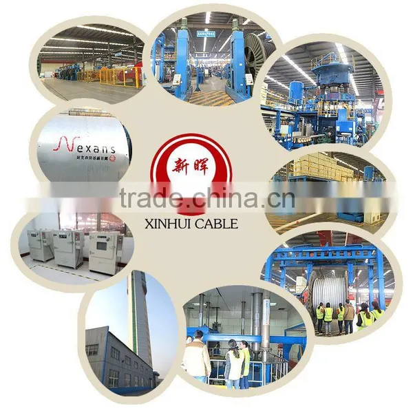 Xinhui Oxygen-free Copper Core Xlpe Insulation CAS High Voltage Power Cable With CCC Certificate photo-5