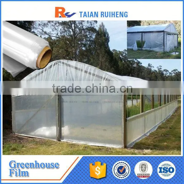 Long-life White Greenhouse Plastic Film photo-6