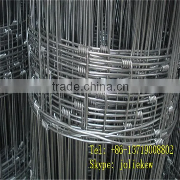 Australia Hot Dipped Galvanized Farm Field Fencing Materials, Horse Stall Panels, Chicken Wire