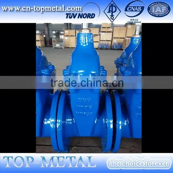 Ductile Iron Rising Stem Gate Valve photo-4