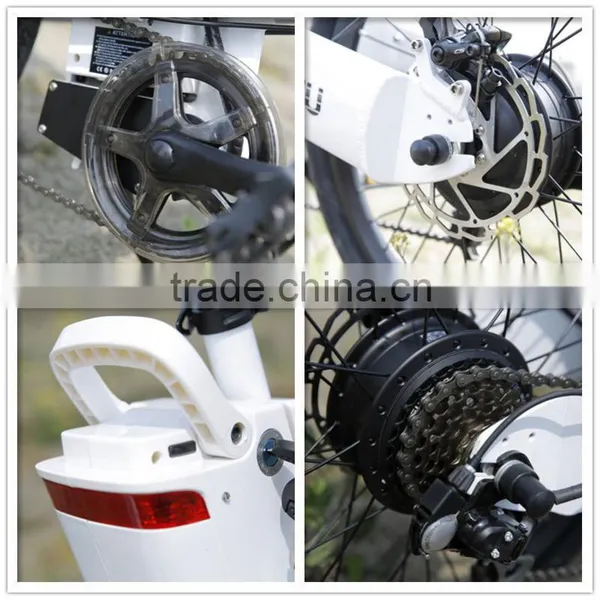 Seagull, Lead-acid Battery for Electric Bike Kit photo-5