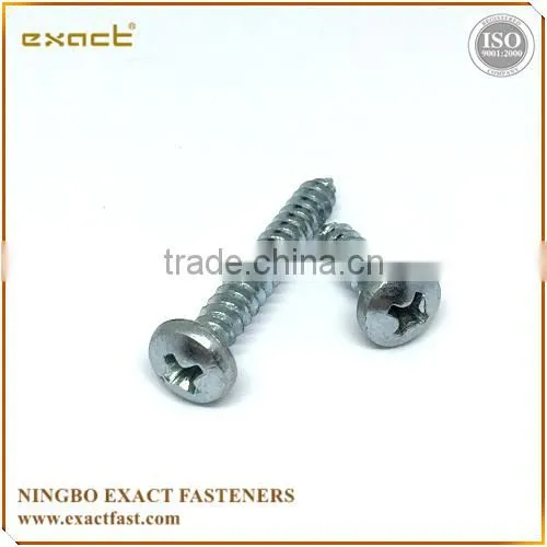 Philips Pan Head Screws Self Tapping Screw Tapping Screw Screw Din7981 photo-2