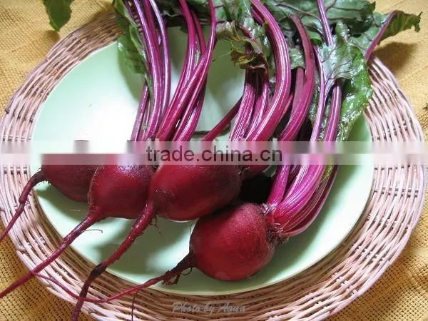 Canned Beetroot Slices 3kg photo-3