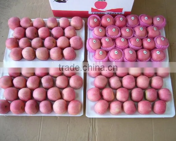 China Yantai Best Price Fuji Apple