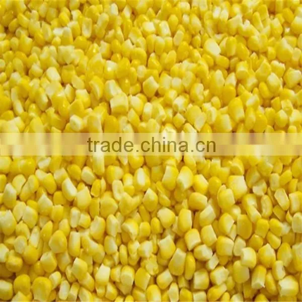 Frozen vegetables IQF sweet corn kernel