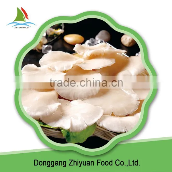 Fresh King Oyster Mushroom Spawn for Sale