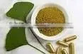 Ginkgo Biloba Herbal Extract