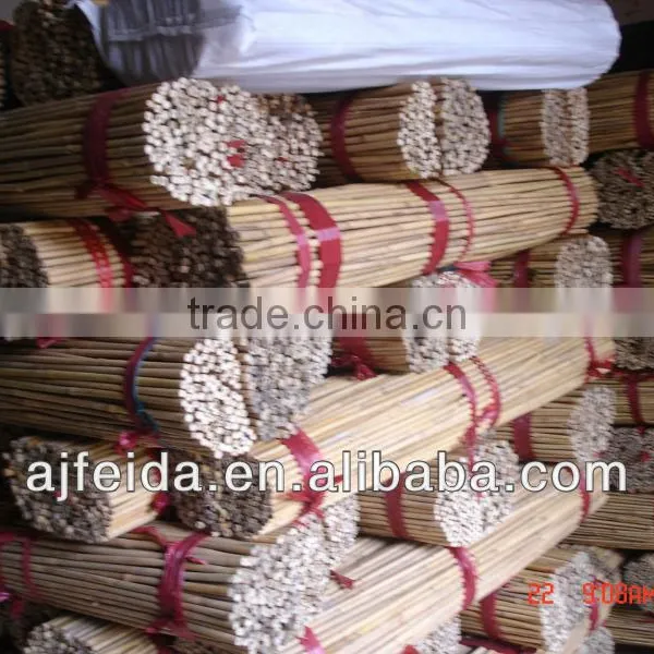 Natural Bamboo Cane