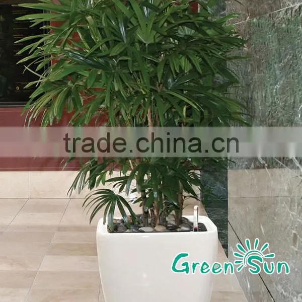 Middle Square Plastic Gardening Balcony Flower Pots for Sale photo-3