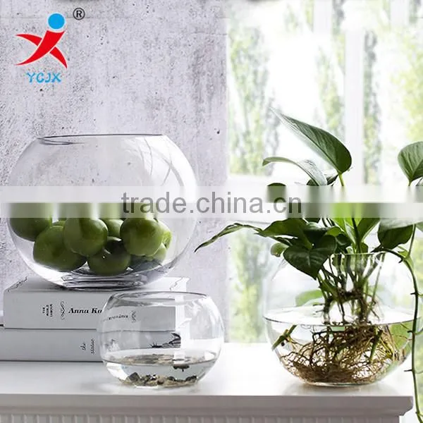 Transparent Round /sitting Room/aquarium/meat Plants Produced the Ecological Bottle Container/fishnet