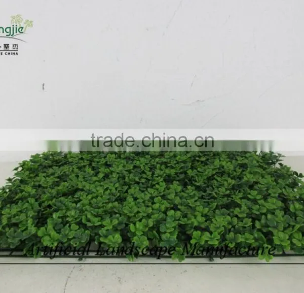 Artificial Boxwood Carpet ,green Wall Hedge Decoration photo-4