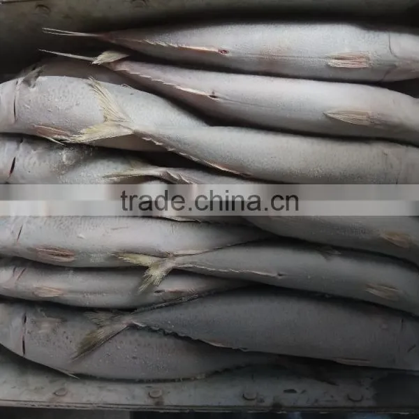 New Fish Frozen WR Pacific Mackerel Seafood photo-2