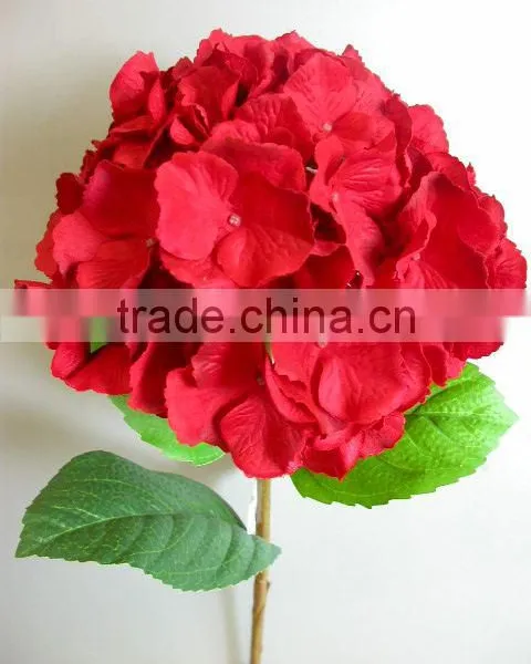 dry flowers