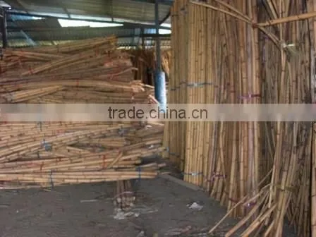 Malaysia Rattan Raw Material Stock
