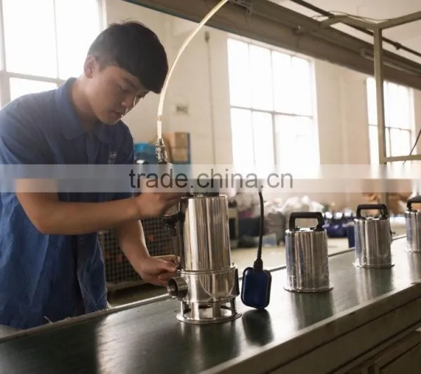 Submersible Pump JP350-2 photo-6