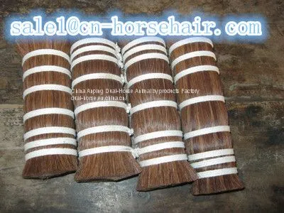 двойно вытянутая конская грива