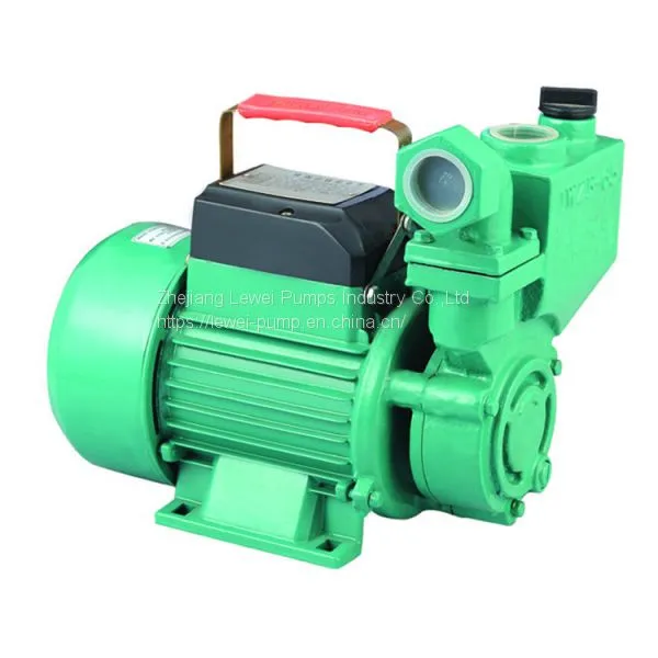 PW250A Self-priming Pump photo-3