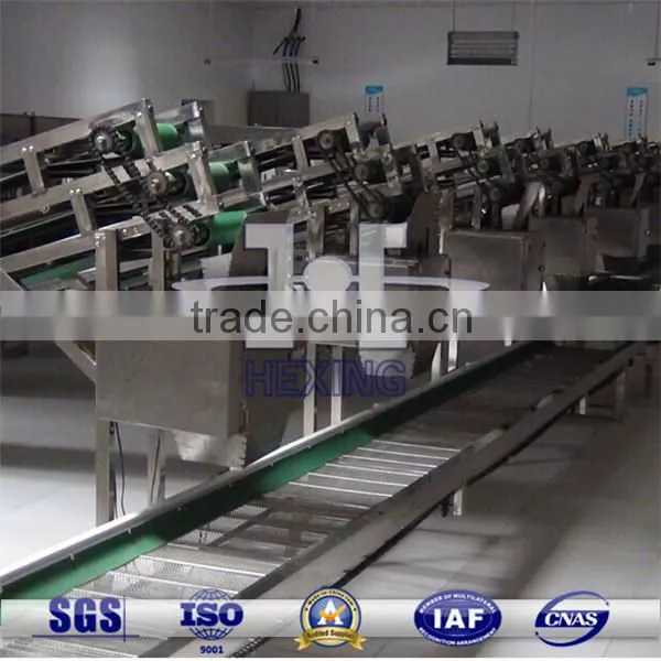 Chain Belt.metal Chain Belt.stainless Steel Conveyor Belt