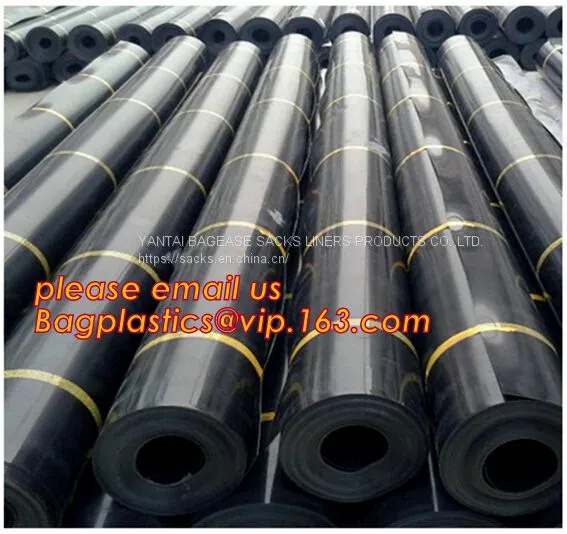 Hdpe Geomembrane Price Pool Liner Geomembrane,swimming Pool Liner Lake Dam Geomembrane Liners,drainage Ditch Liner Geo m photo-4